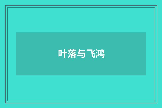叶落与飞鸿