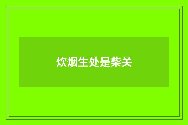炊烟生处是柴关