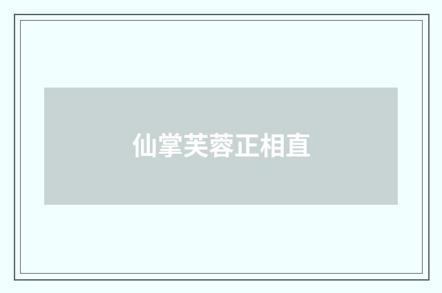 仙掌芙蓉正相直