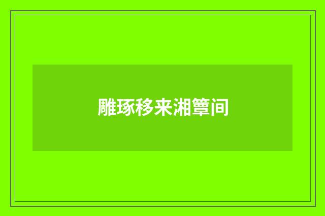 雕琢移来湘簟间