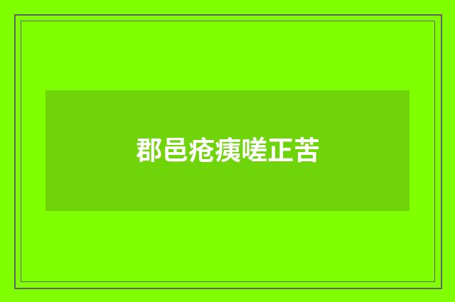 郡邑疮痍嗟正苦