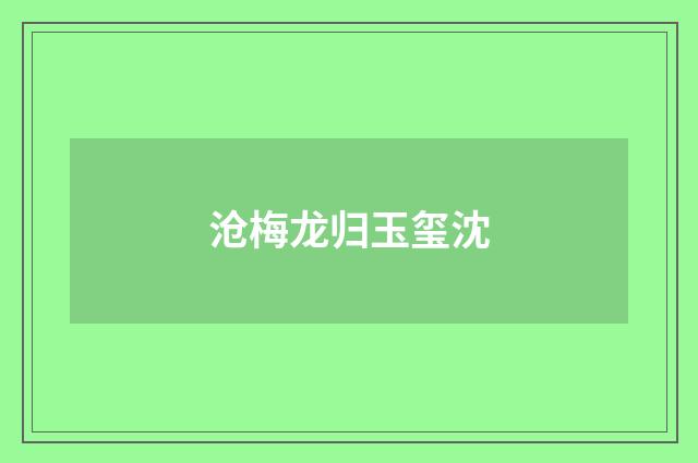 沧梅龙归玉玺沈