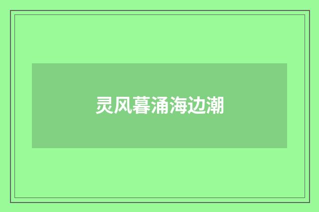 灵风暮涌海边潮