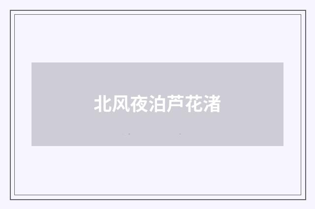北风夜泊芦花渚