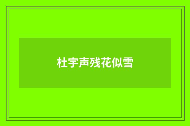 杜宇声残花似雪