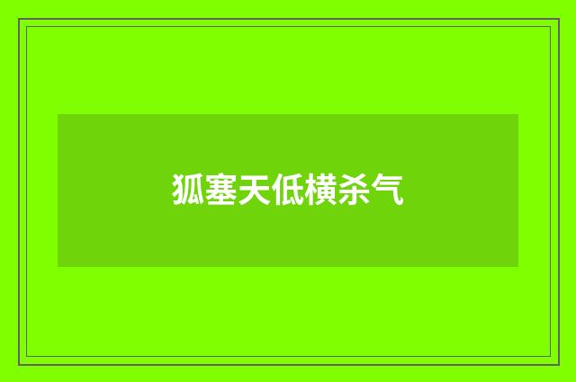 狐塞天低横杀气