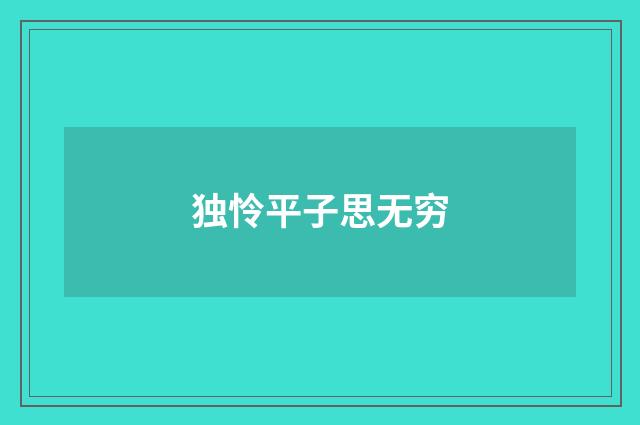 独怜平子思无穷