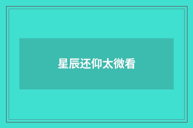 星辰还仰太微看