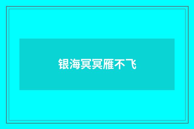 银海冥冥雁不飞