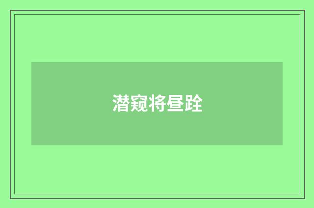 潜窥将昼跧