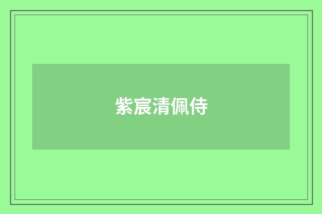 紫宸清佩侍