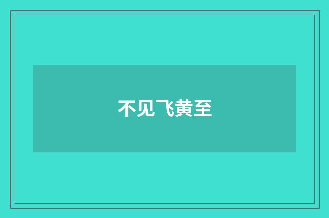 不见飞黄至