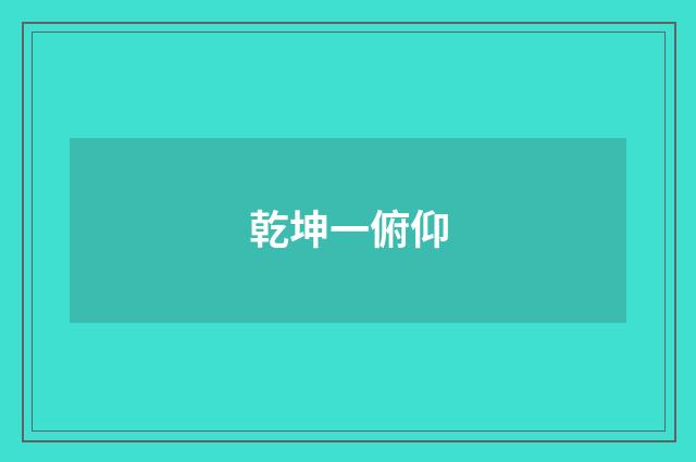乾坤一俯仰