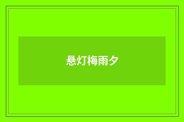 悬灯梅雨夕