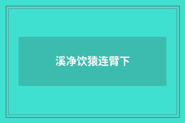 溪净饮猿连臂下