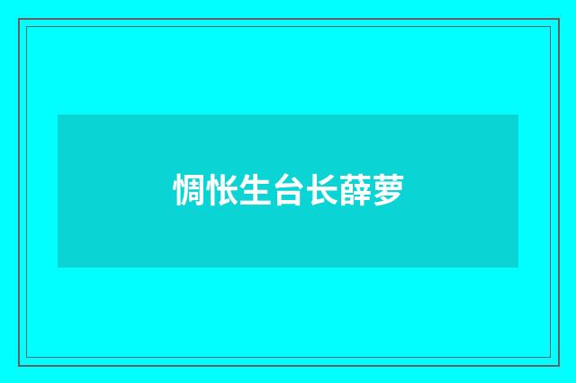 惆怅生台长薛萝