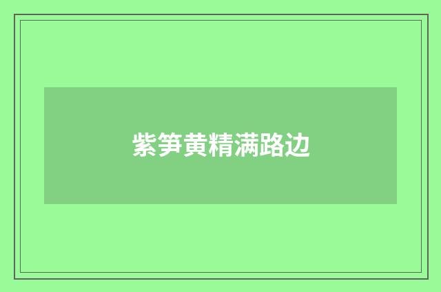 紫笋黄精满路边