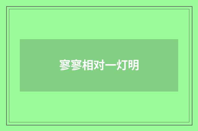 寥寥相对一灯明