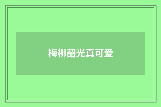 梅柳韶光真可爱