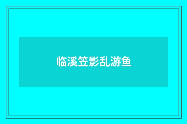 临溪笠影乱游鱼