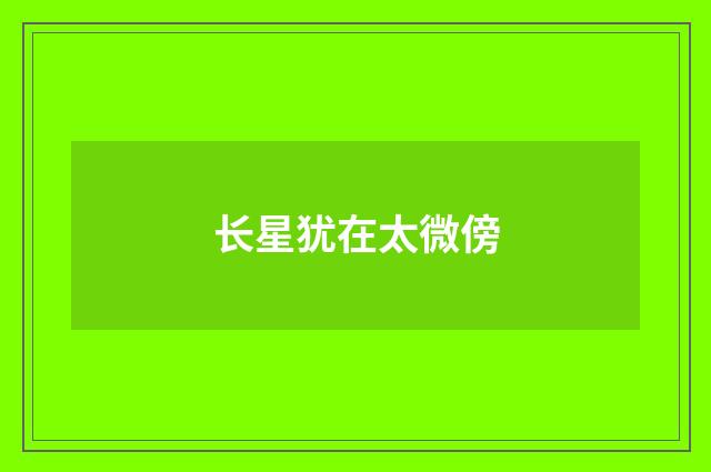 长星犹在太微傍