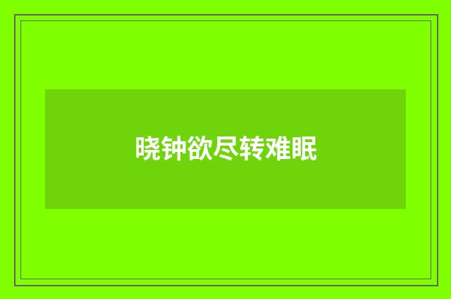 晓钟欲尽转难眠