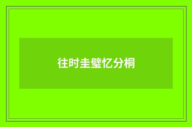 往时圭璧忆分桐
