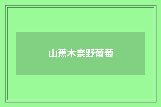 山蕉木柰野葡萄