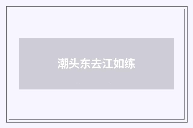 潮头东去江如练