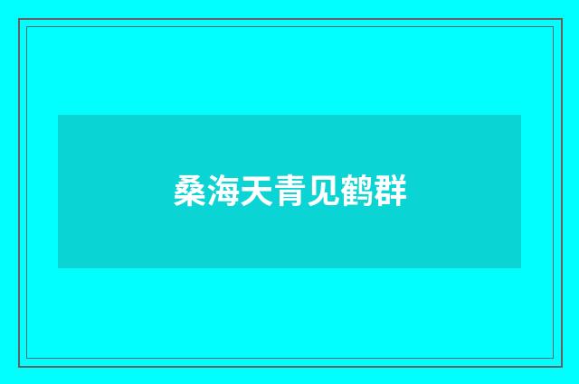 桑海天青见鹤群