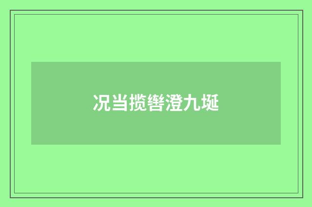 况当揽辔澄九埏