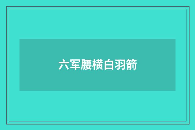 六军腰横白羽箭