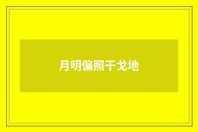 月明偏照干戈地