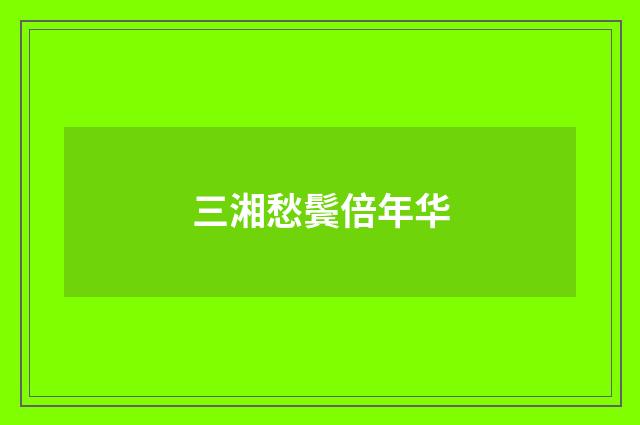三湘愁鬓倍年华