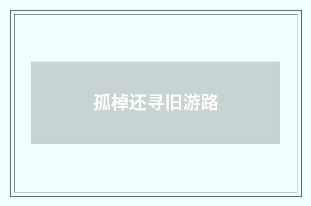 孤棹还寻旧游路