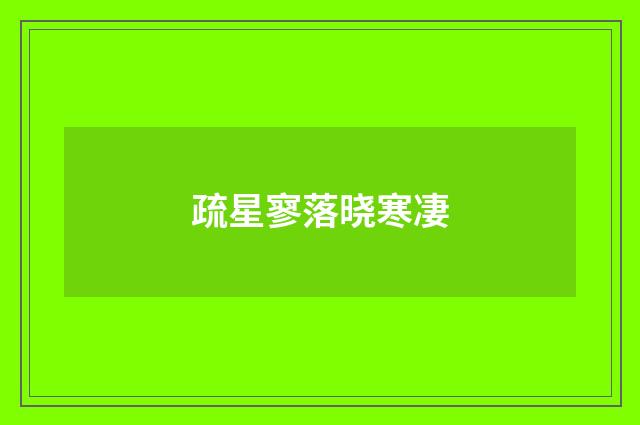 疏星寥落晓寒凄