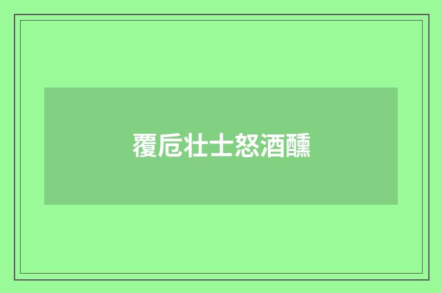 覆卮壮士怒酒醺