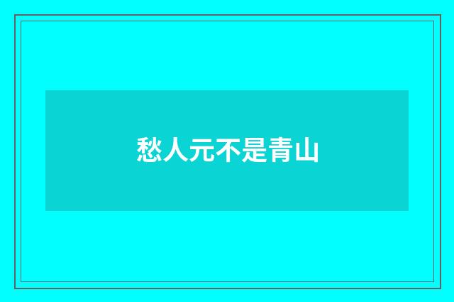 愁人元不是青山