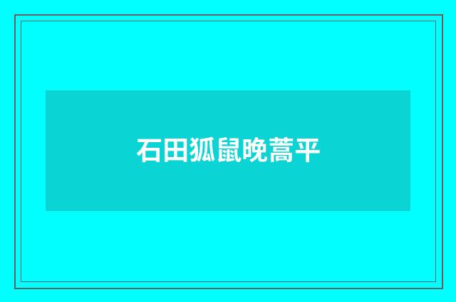 石田狐鼠晚蒿平