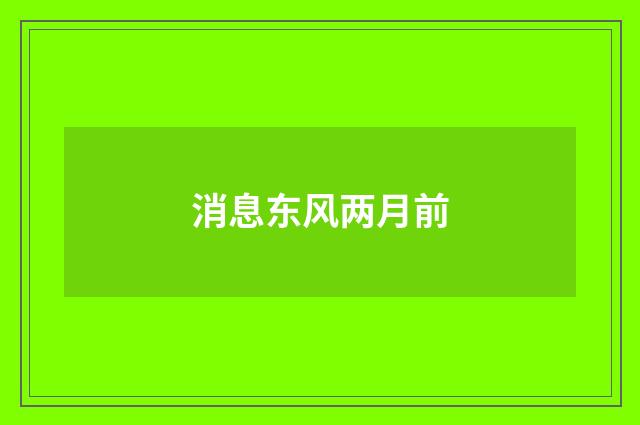 消息东风两月前