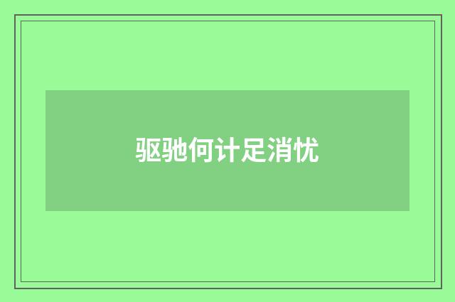 驱驰何计足消忧