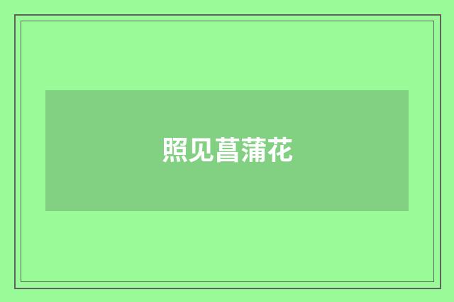 照见菖蒲花