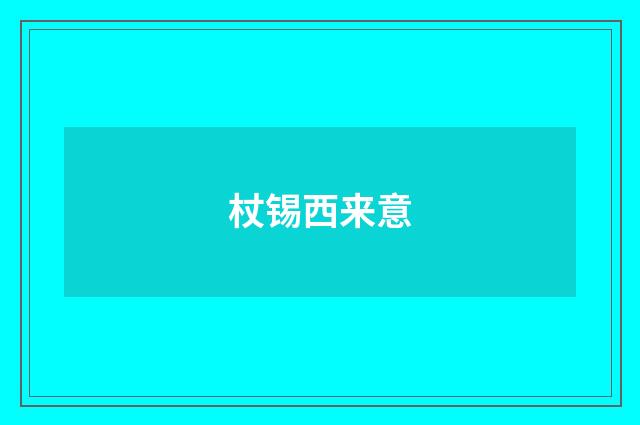 杖锡西来意