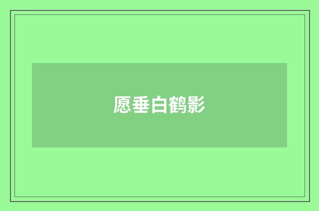愿垂白鹤影