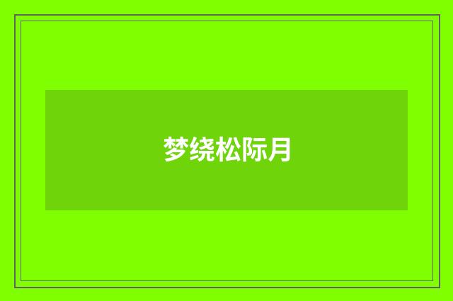梦绕松际月