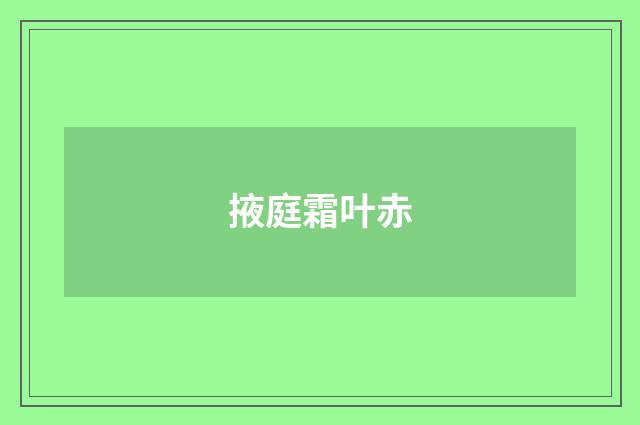 掖庭霜叶赤