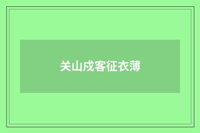 关山戍客征衣薄