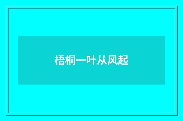 梧桐一叶从风起