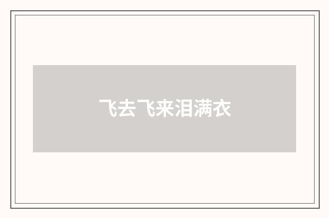 飞去飞来泪满衣