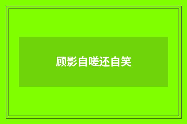 顾影自嗟还自笑
